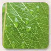 Grünes Leaf Getränkeuntersetzer (Vorderseite)