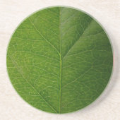 Grünes Leaf Getränkeuntersetzer (Vorne)