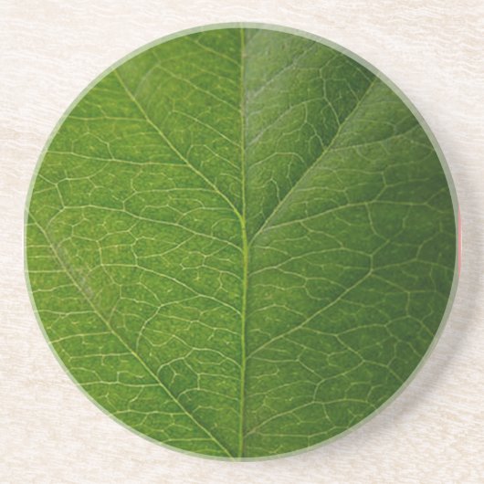 Grünes Leaf Getränkeuntersetzer (Vorne)