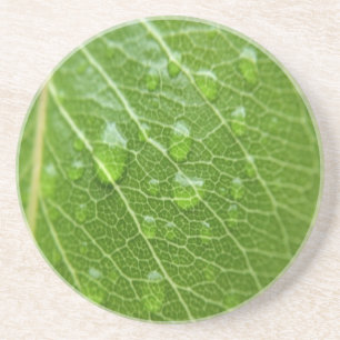 Grünes Leaf Getränkeuntersetzer