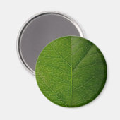 Grünes Leaf Magnet (Vorderseite/Rückseite)