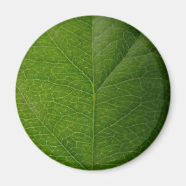 Grünes Leaf Magnet