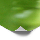 Grünes Leaf mit Raindrops Poster/Print Poster (Ecke)