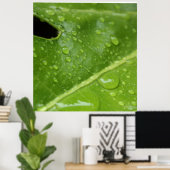 Grünes Leaf mit Raindrops Poster/Print Poster (Heimbüro)