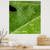 Grünes Leaf mit Raindrops Poster/Print Poster (Küche)