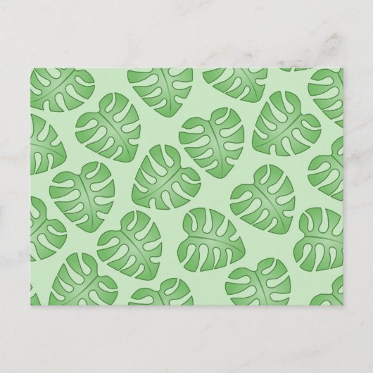 Grünes Leaf Muster, Monstera Verlasse. Postkarte (Vorderseite)