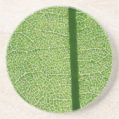 Grünes Leaf Nah Getränkeuntersetzer (Vorne)