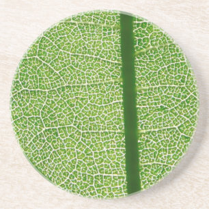 Grünes Leaf Nah Getränkeuntersetzer