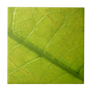 Grünes Leaf Naturfotografie Fliese