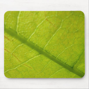 Grünes Leaf Naturfotografie Mousepad