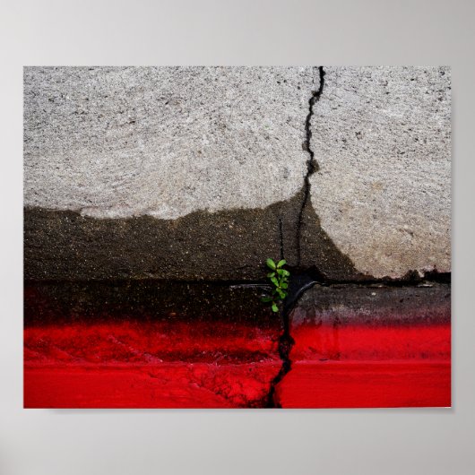 Grünes Leaf Poster (Vorne)