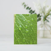 Grünes Leaf Postkarte (Stehend Vorderseite)