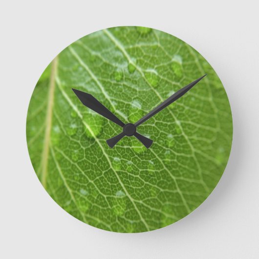 Grünes Leaf Runde Wanduhr (Vorderseite)