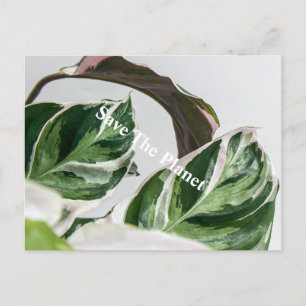 Grünes Leaf Sava auf dem Planeten Postkarte