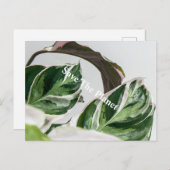 Grünes Leaf Sava auf dem Planeten Postkarte (Vorne/Hinten)