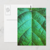 Grünes Leaf Textur Postkarte (Vorne/Hinten)