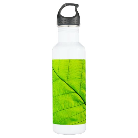 Grünes Leaf Trinkflasche (Vorderseite)