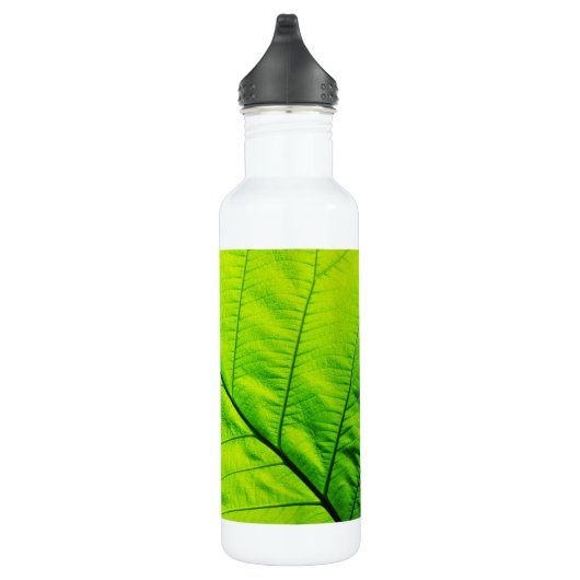 Grünes Leaf Trinkflasche (Rechts)