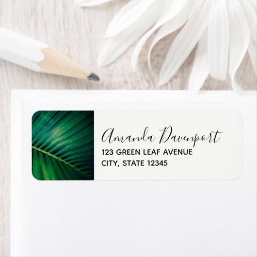 Grünes Leaf Tropenwald Foto (Insitu)