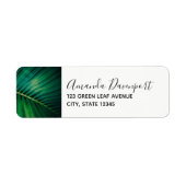 Grünes Leaf Tropenwald Foto (Vorne)