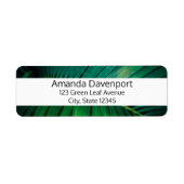 Grünes Leaf Tropenwald Foto (Vorne)