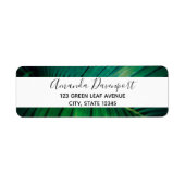 Grünes Leaf Tropenwald Foto (Vorne)