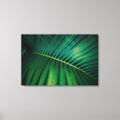 Grünes Leaf Tropenwald Foto Leinwanddruck (Vorderseite)