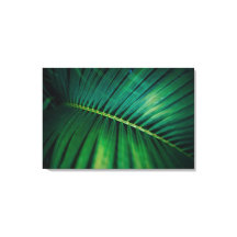 Grünes Leaf Tropenwald Foto