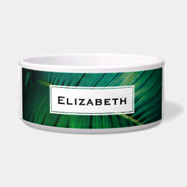 Grünes Leaf Tropenwald Foto Napf