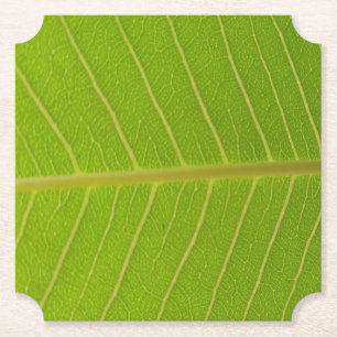 Grünes Leaf und hellgelbe Liniendesign Untersetzer