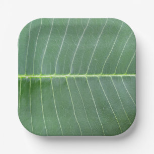 Grünes Leaf und hellweiße Linie Design 7" Square Pappteller
