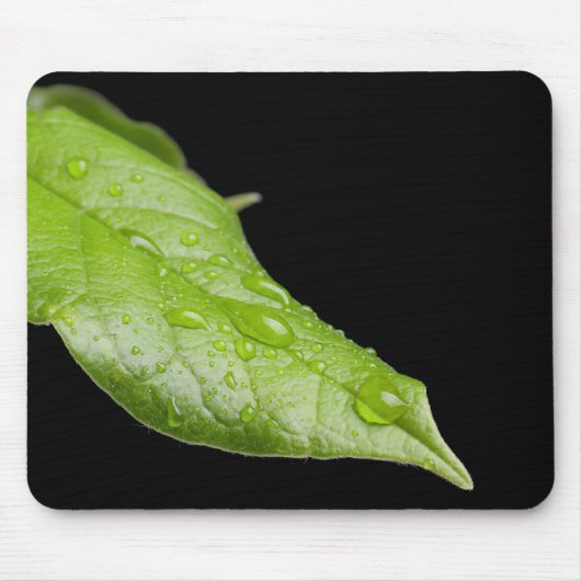 Grünes Leaf und Raindrops Mousepad (Vorne)