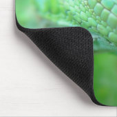 Grünes Leguan-Eidechsen-Reptil auf Blatt Mousepad (Ecke)