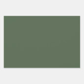 Grünes Leopard-Jungle-Safari-Wrapping Paper-Set Geschenkpapier Set (Vorderseite 3)