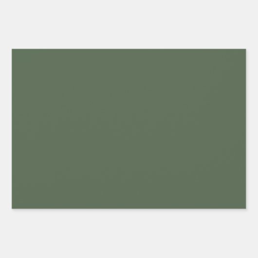 Grünes Leopard-Jungle-Safari-Wrapping Paper-Set Geschenkpapier Set (Vorderseite 3)