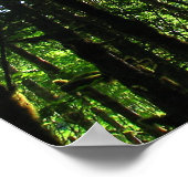 Grünes Licht.. Poster (Ecke)