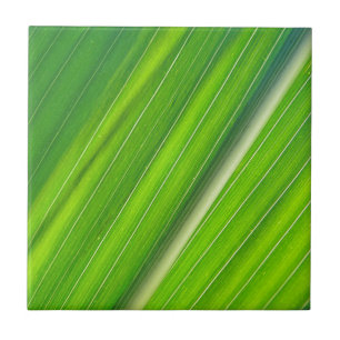 Grünes Maisblattdesign Fliese