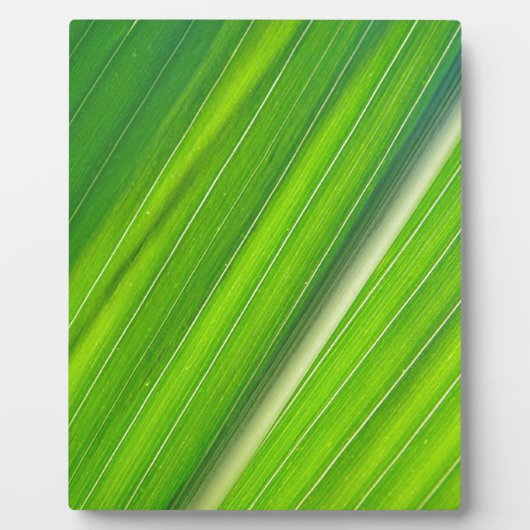 Grünes Maisblattdesign Fotoplatte (Vorderseite)