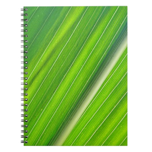 Grünes Maisblattdesign Notizblock (Vorderseite)