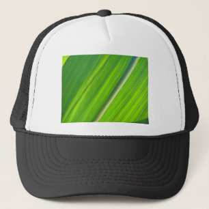 Grünes Maisblattdesign Truckerkappe