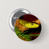 Grünes Mamba Button (Vorne & Hinten)