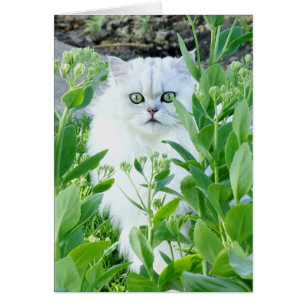 Grünes mit Augen Monster