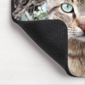 Grünes mit Augen Tabby-Katze mousepad (Ecke)