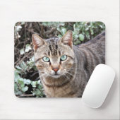 Grünes mit Augen Tabby-Katze mousepad (Mit Mouse)