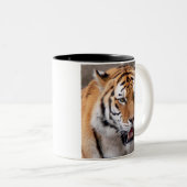 grünes mit Augen Wunder Zweifarbige Tasse (VorderseiteRechts)