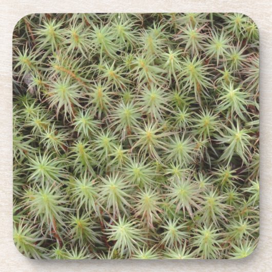Grünes Moos Untersetzer (Vorderseite)