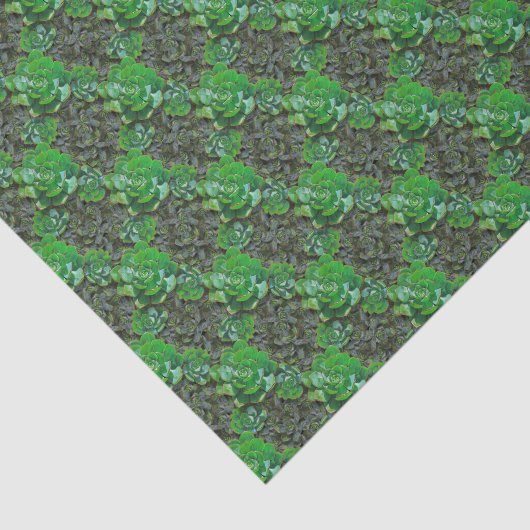 Grünes Nadelstichpapier für Gittermuster Seidenpapier (Ausschnitt)