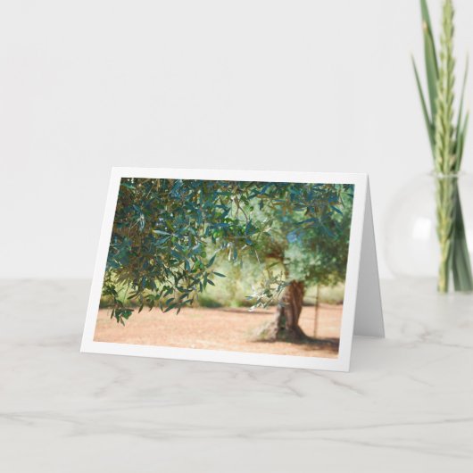 Grünes Olivenbaum Karte (Vorderseite)