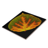 Grünes orange u. gelbes Aspen-Blatt #1 Fliese (Seite)