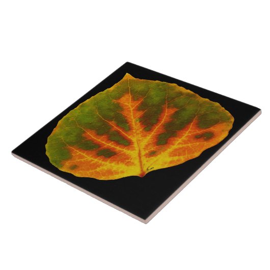 Grünes orange u. gelbes Aspen-Blatt #1 Fliese (Seite)